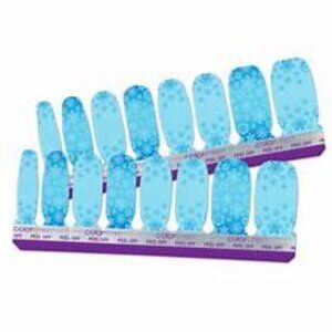 Color Street  Cold Front Winter Snowflake